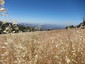 Cuyamaca Peak